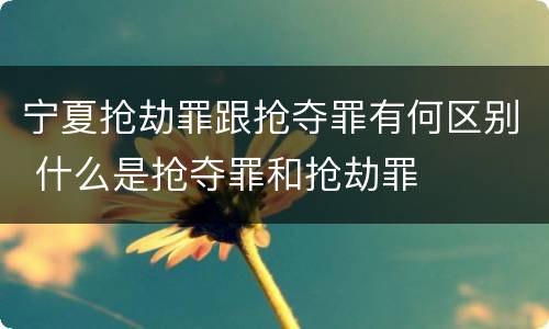 宁夏抢劫罪跟抢夺罪有何区别 什么是抢夺罪和抢劫罪