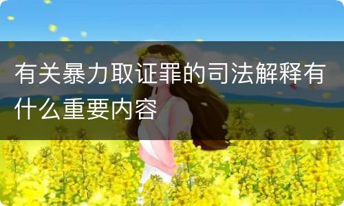 有关暴力取证罪的司法解释有什么重要内容
