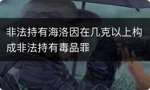 非法持有海洛因在几克以上构成非法持有毒品罪