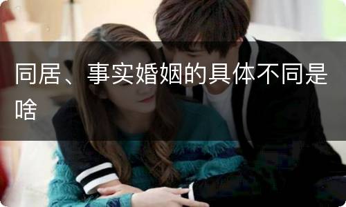 同居、事实婚姻的具体不同是啥