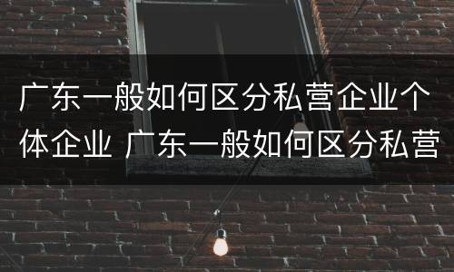 广东一般如何区分私营企业个体企业 广东一般如何区分私营企业个体企业和企业