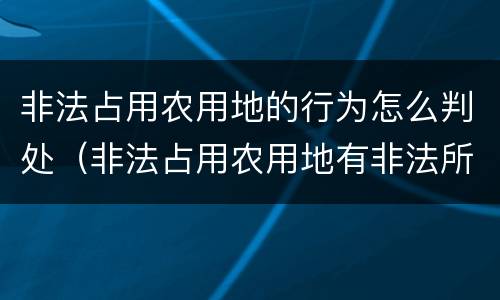 非法占用农用地的行为怎么判处（非法占用农用地有非法所得吗）