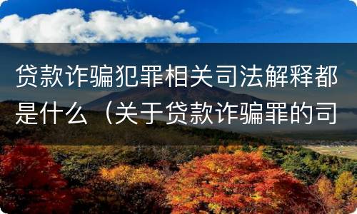 贷款诈骗犯罪相关司法解释都是什么（关于贷款诈骗罪的司法解释）