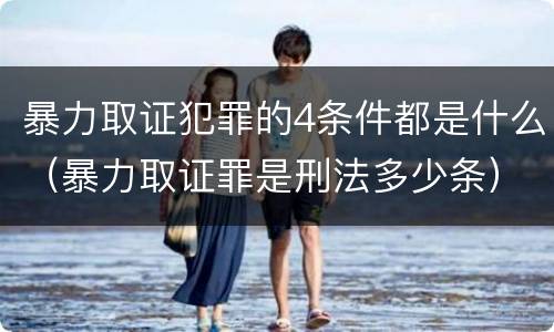 暴力取证犯罪的4条件都是什么（暴力取证罪是刑法多少条）