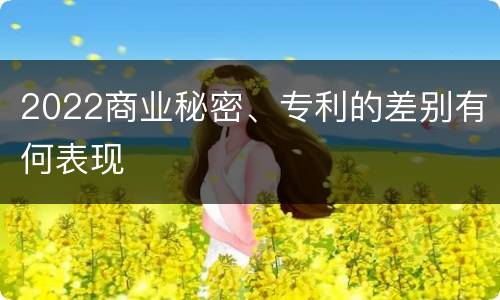 2022商业秘密、专利的差别有何表现