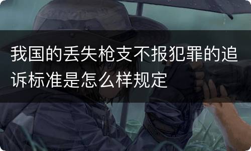 我国的丢失枪支不报犯罪的追诉标准是怎么样规定