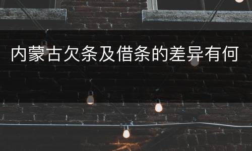 内蒙古欠条及借条的差异有何