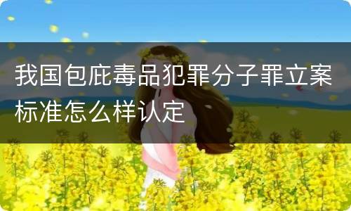我国包庇毒品犯罪分子罪立案标准怎么样认定