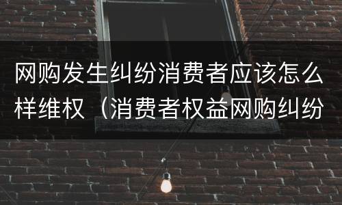 网购发生纠纷消费者应该怎么样维权（消费者权益网购纠纷）