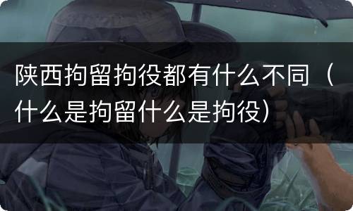 陕西拘留拘役都有什么不同（什么是拘留什么是拘役）