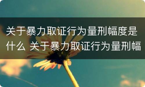 关于暴力取证行为量刑幅度是什么 关于暴力取证行为量刑幅度是什么标准