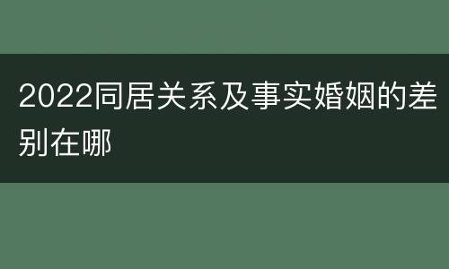 2022同居关系及事实婚姻的差别在哪