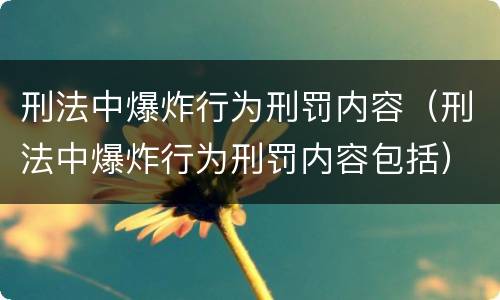 刑法中爆炸行为刑罚内容（刑法中爆炸行为刑罚内容包括）