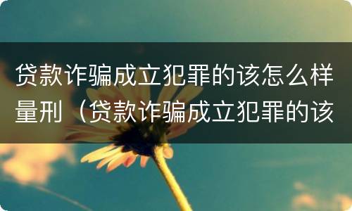 贷款诈骗成立犯罪的该怎么样量刑（贷款诈骗成立犯罪的该怎么样量刑呢）