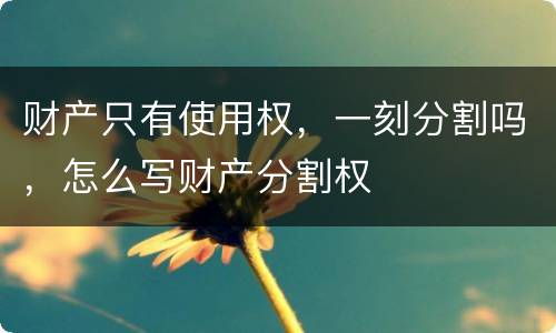 财产只有使用权，一刻分割吗，怎么写财产分割权