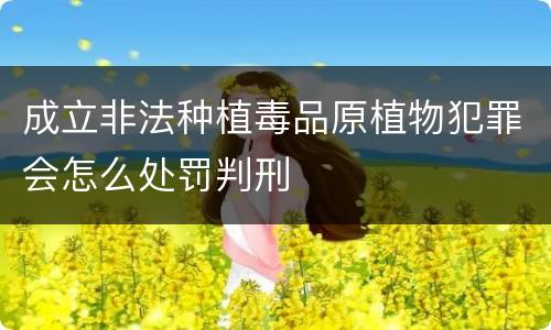 成立非法种植毒品原植物犯罪会怎么处罚判刑