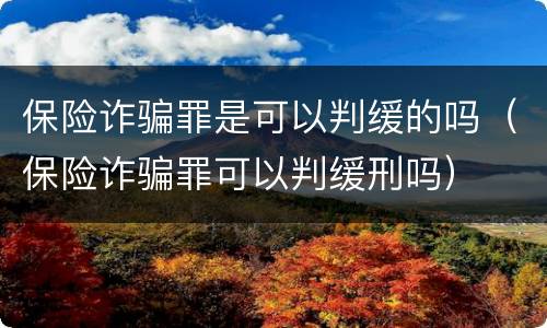 保险诈骗罪是可以判缓的吗（保险诈骗罪可以判缓刑吗）