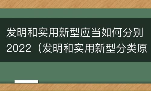 发明和实用新型应当如何分别2022（发明和实用新型分类原则）