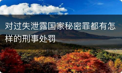 对过失泄露国家秘密罪都有怎样的刑事处罚