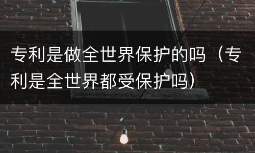 专利是做全世界保护的吗（专利是全世界都受保护吗）