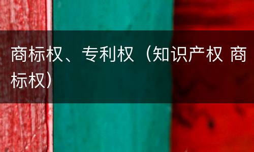 商标权、专利权（知识产权 商标权）