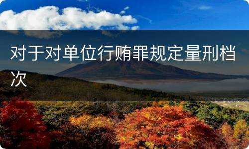 对于对单位行贿罪规定量刑档次