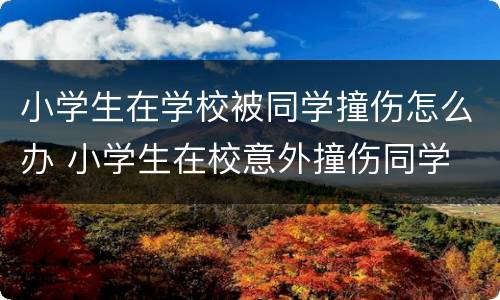 小学生在学校被同学撞伤怎么办 小学生在校意外撞伤同学