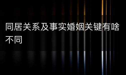 同居关系及事实婚姻关键有啥不同