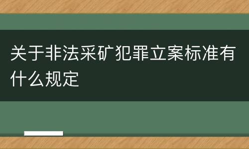 关于非法采矿犯罪立案标准有什么规定