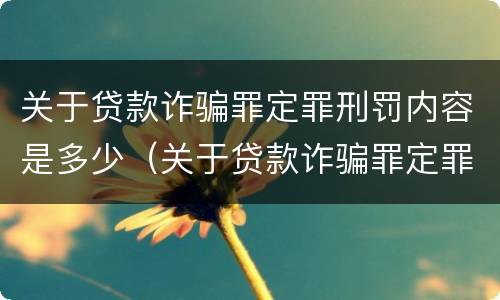 关于贷款诈骗罪定罪刑罚内容是多少（关于贷款诈骗罪定罪刑罚内容是多少个）