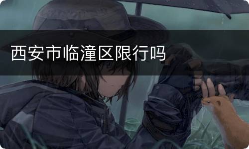 西安市临潼区限行吗