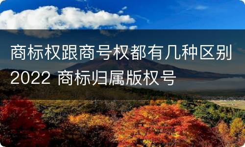 商标权跟商号权都有几种区别2022 商标归属版权号