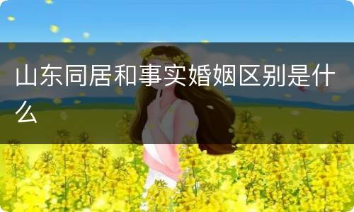 山东同居和事实婚姻区别是什么