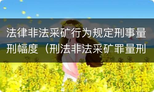 法律非法采矿行为规定刑事量刑幅度（刑法非法采矿罪量刑标准）