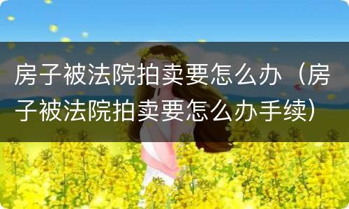 房子被法院拍卖要怎么办（房子被法院拍卖要怎么办手续）