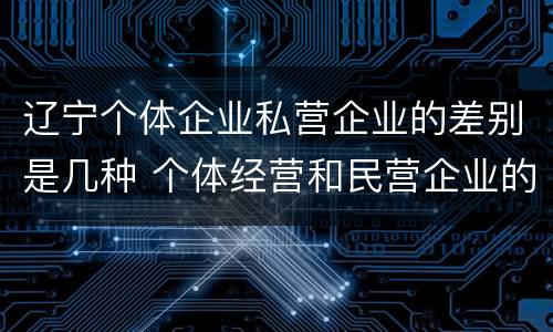 辽宁个体企业私营企业的差别是几种 个体经营和民营企业的区别