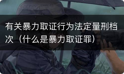 有关暴力取证行为法定量刑档次（什么是暴力取证罪）
