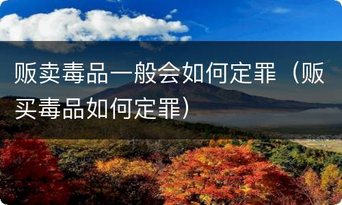 贩卖毒品一般会如何定罪（贩买毒品如何定罪）