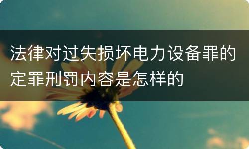 法律对过失损坏电力设备罪的定罪刑罚内容是怎样的