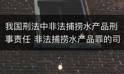 我国刑法中非法捕捞水产品刑事责任 非法捕捞水产品罪的司法解释