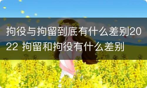 拘役与拘留到底有什么差别2022 拘留和拘役有什么差别