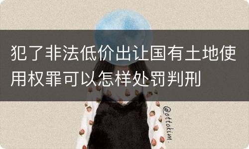 犯了非法低价出让国有土地使用权罪可以怎样处罚判刑