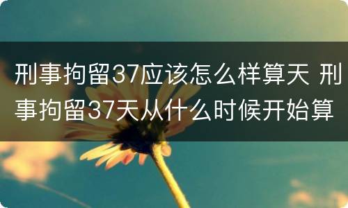 刑事拘留37应该怎么样算天 刑事拘留37天从什么时候开始算