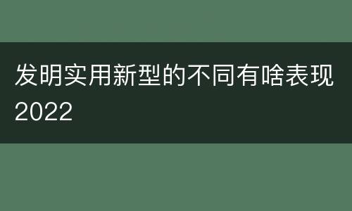 发明实用新型的不同有啥表现2022