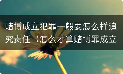 赌博成立犯罪一般要怎么样追究责任（怎么才算赌博罪成立）