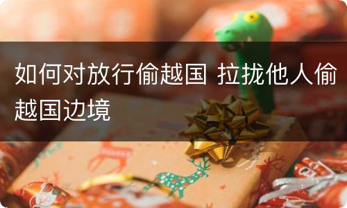 如何对放行偷越国 拉拢他人偷越国边境