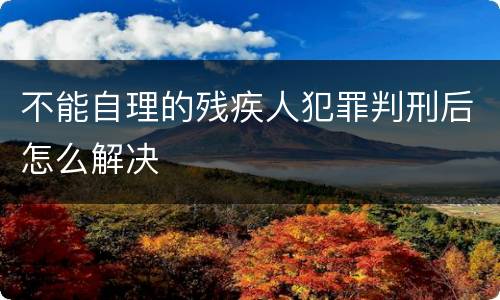 不能自理的残疾人犯罪判刑后怎么解决