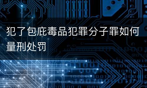 犯了包庇毒品犯罪分子罪如何量刑处罚