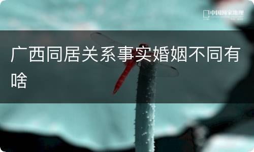 广西同居关系事实婚姻不同有啥