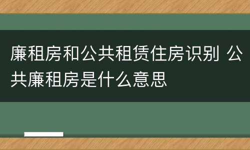 廉租房和公共租赁住房识别 公共廉租房是什么意思